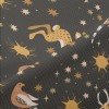 Night Stars And Horned Hare Piqué