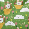 Cute Cartoon Rabbit Illustrati Minky