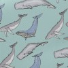 Hand Drawn Whale Family Midweight Cotton Poplin