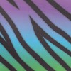 Rainbow Texture Pongee