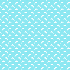 White Color Block Dolphin Silh