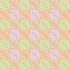 Cats With Various Colored Patt