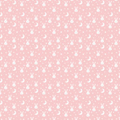 Starry Sky And Sleeping Bunny