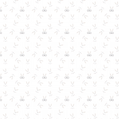 Cute Expression Rabbit