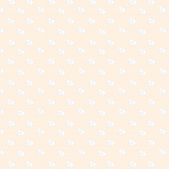 Hand Drawn White Pet Rabbit