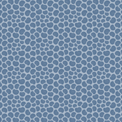 Strange Spiral Shell