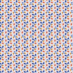 Snail Cat Walking Leisurely