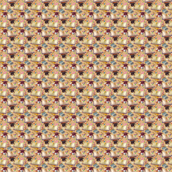 Hand Drawn On The First Day Of