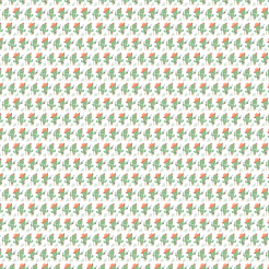 Cactus In Disguise