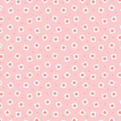 Japanese Salmon Sushi Roll