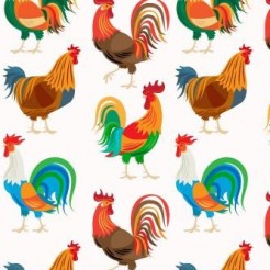 Elegant Bright Cock