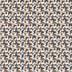 Cute Cats Of Various Breeds