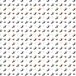 Coconut Water And Toucan