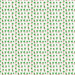 Succulent Cactus Potted Plants