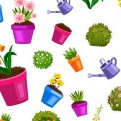 Colorful Decorative Potted Pla