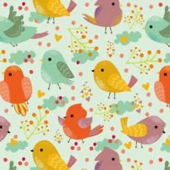 Cute Colorful Bird