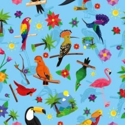 Various Birds