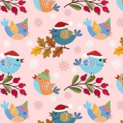 Bird Wearing Santa Hat