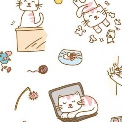 Cute Daily Routine Of Cats