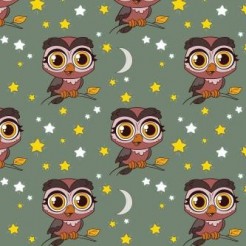 Nocturnal Big-eyed Owl