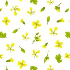Yellow Flowers And Green Leave