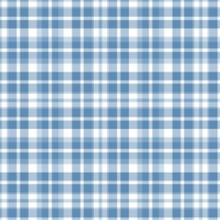 Blue White Grid