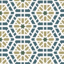 Hexagonal Geometric Tiles