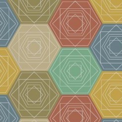 Colorful Hexagons