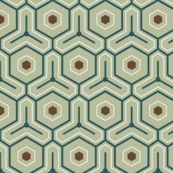 Hexagonal Maze