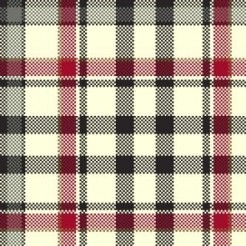 Beautiful Plaid