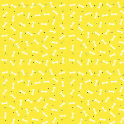 Simple Color Block Dog Bones