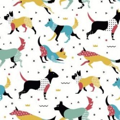 Fashion Dog
