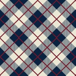 Blue Scotch Plaid