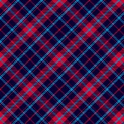 Bright Red And Blue Checkered
