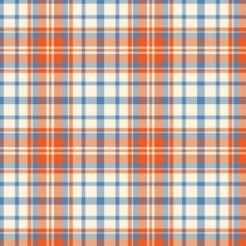 Mosaic Plaid