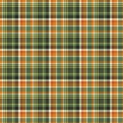 Ordinary And Elegant Plaid