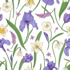 Violet White Flowers