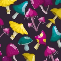 Magic Poison Mushroom