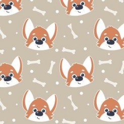 Cute Expression Corgi