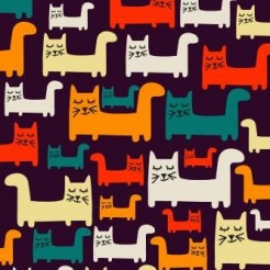 Proud Expression Kitten