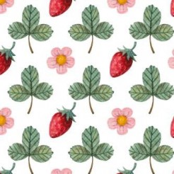 Plump Fruit Strawberry