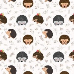 Hedgehog Looking For Food