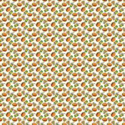 Drinks Burgers French Fries