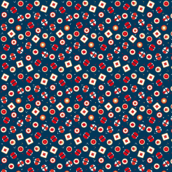 Cartoon Nigiri Sushi Set