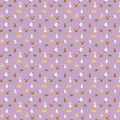 Cute Cats In Various Designs