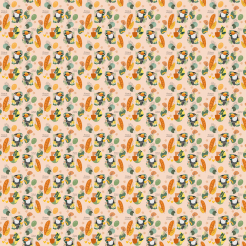 Cute And Exquisite Toucan