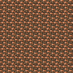 Goldfish Shaped Lantern