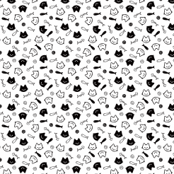 Cute Black And White Cat