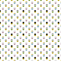 Cat In A Colorful Pocket