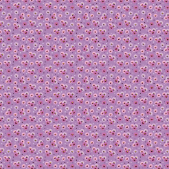 Beautiful Phalaenopsis